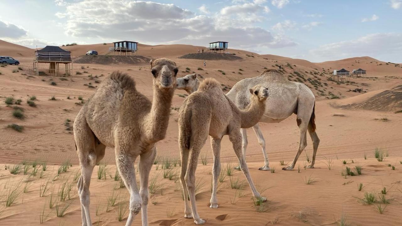 Oman Desert Private Camp Shāhiq Exteriér fotografie